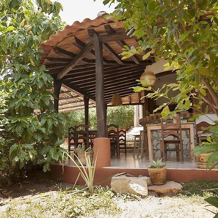 Casa Huijazoo Nature & Balance Hotell Mazunte Eksteriør bilde