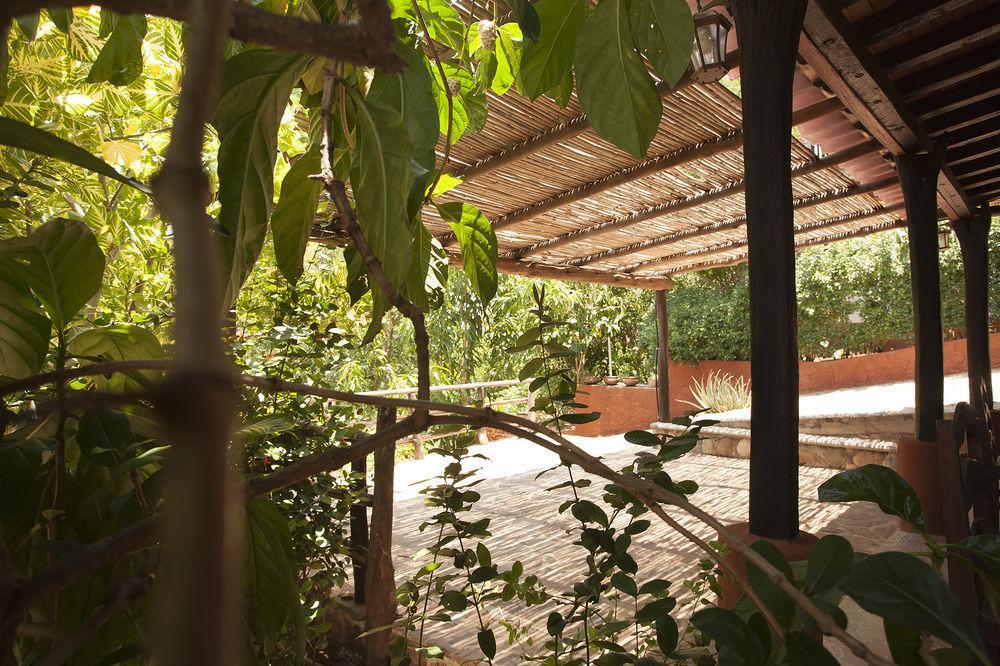 Casa Huijazoo Nature & Balance Hotell Mazunte Eksteriør bilde
